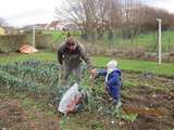 Activités au jardin