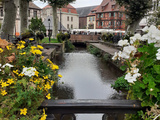 Colmar