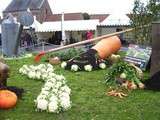 Fête du légume à Saint-Omer