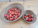 Fraises