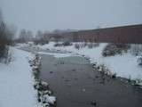 Ils n'ont pas peur de l'eau froide