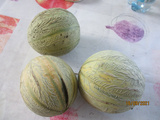 Nos melons