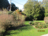 Sous-bois du nouveau   jardin de Cruik 