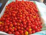 Tomates cerises en conserves