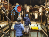 Visite à la ferme