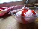 Sorbet de rhubarbe :