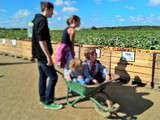 Cueillette de fruits et légumes en famille à la ferme de Viltain