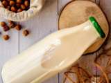 Faire son lait végétal au companion