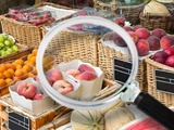 L’haccp : décryptage et impact sur les entreprises agroalimentaires