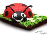 Gâteau coccinelle