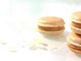 Macarons chocolat blanc et nougatine