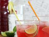 Cranberry fizz, le cocktail rouge comme l'amour pour la Saint Valentin