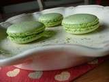 Macarons au thé vert matcha