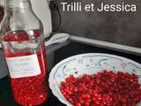 Liqueur de groseilles