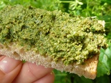 🌿 Pesto de plantes sauvages 🌿