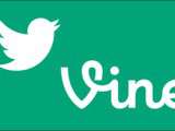  vine 