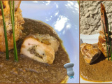Ballotine de poulet, gambas et noix de St Jacques