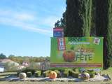 Fête de la courge à Rians 2018