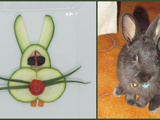 Lapin en courgette