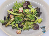 Salade de printemps