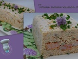 Terrine marine saumon crevettes