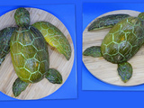 Tortue marine sur melon vert