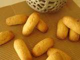 Biscuits Doigts de Dames