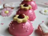 Entremets printaniers aux Biscuits Roses et Framboises