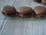 Macarons choco-passion