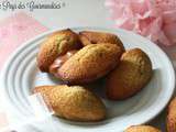 Madeleines au cappuccino et aux noix