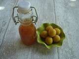 Sirop de mirabelles