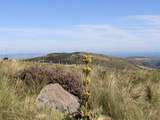 Sur les routes d'Auvergne