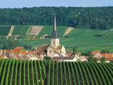 Champagne Raineteau-Grimet, à Chamery