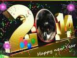 Happy New Year