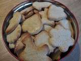 Petits biscuits de Noël à la cannelle