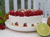 Gâteau aux framboises, coco, pistache et citron vert