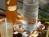 Sirop de gingembre pour ginger ale et autres utilisations