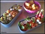 Bento  du jardin 