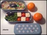 Bento  écolo 