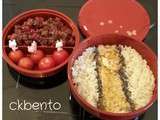 Bento « riz et poisson »