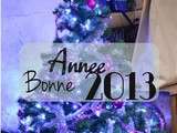 Bonne année 2013 … et 2 ans du blog