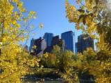 Journée à Calgary, ab canada