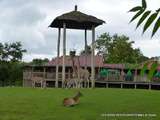 AMNÉVILLE(57)-Parc Zoologique d'Amnéville-l'Enclos des Girafes