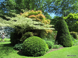 Cambremer (14) - Les jardins du Pays d'Auge