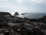 Carte postale- Terre et Mer en Finistère- La Pointe de Pen-Hir(29)