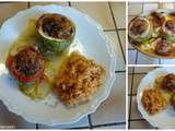 Courgettes et tomates farcies sur lit de courgettes et de tomates