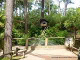 FLÈCHE(72)-Le Zoo de La Flèche ou Une Saison au Zoo-Les Pandas Roux