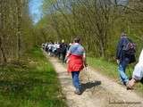 Garche(57)-Le Printemps des Fleurs