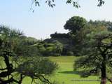 Japon-Le Jardin Kôrakuen d'Okayama (ii)