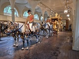 Palais de Buckingham (Londres) - Royal Mews (ii)